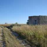 Sul terreno sbucano qua e l� alcuni casolari contadini di recente costruzione. Sull'area, dichiarata edificabile nel 1998, potrebbe sorgere a breve una nuova zona residenziale 